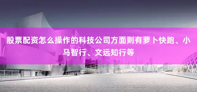 股票配资怎么操作的科技公司方面则有萝卜快跑、小马智行、文远知行等