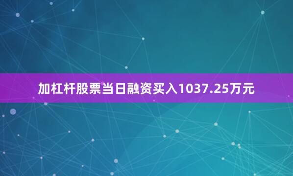 加杠杆股票当日融资买入1037.25万元
