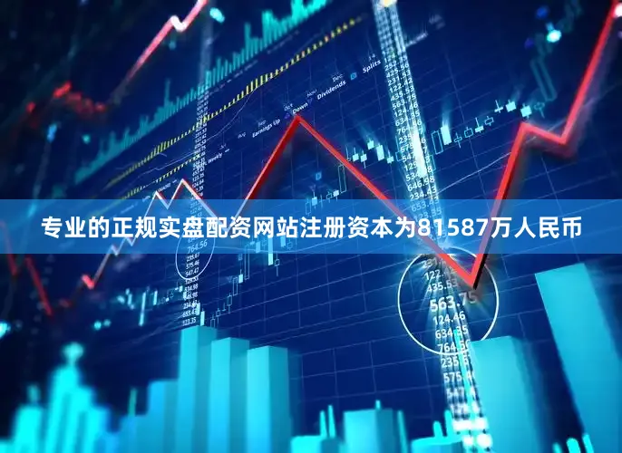 专业的正规实盘配资网站注册资本为81587万人民币